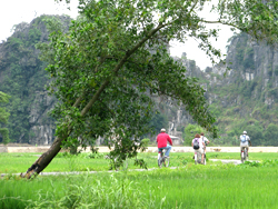 Hoa Lu, promenade en velo dans la baie d'Halong terrestre